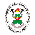 Universidad Nacional Ucayali Pucallpa
